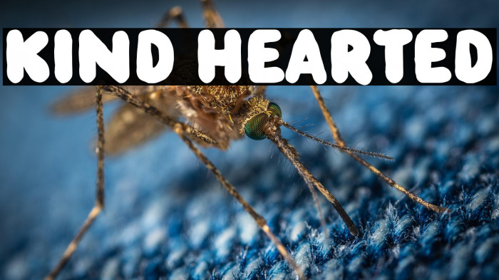 Kind Hearted Caratteri examples