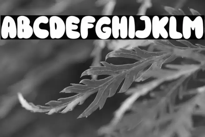 Kind Kids Font examples