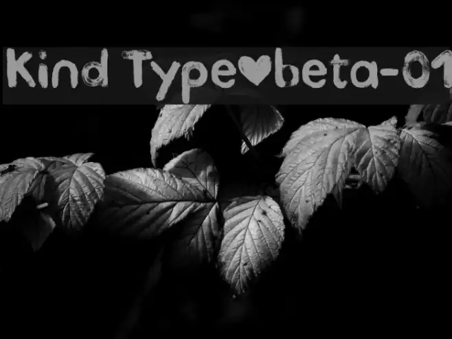 Kind Type_beta-01 Font examples