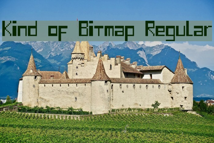 Kind of Bitmap Regular Font examples