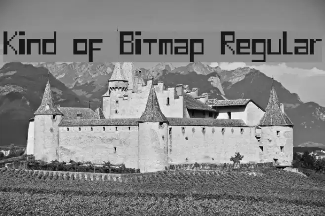 Kind of Bitmap Regular Font examples