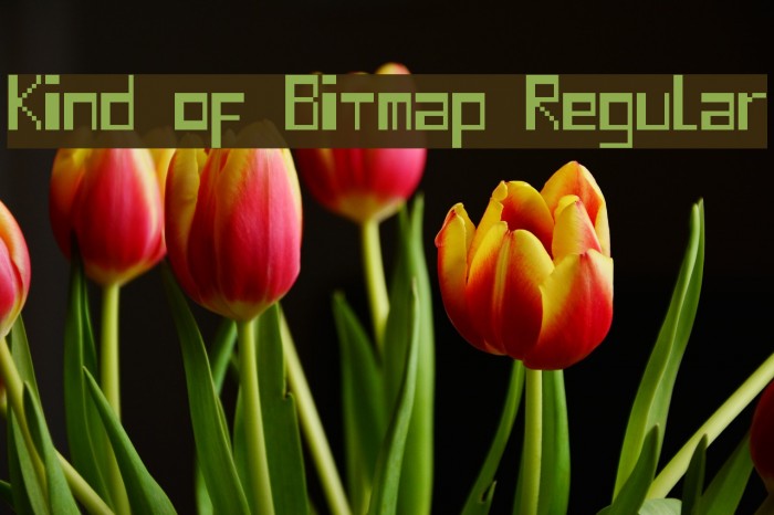 Kind of Bitmap Regular Font examples