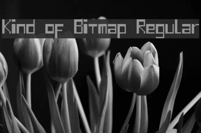 Kind of Bitmap Regular Font examples