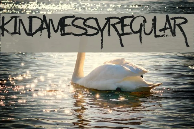 KindaMessy-Regular Example 1