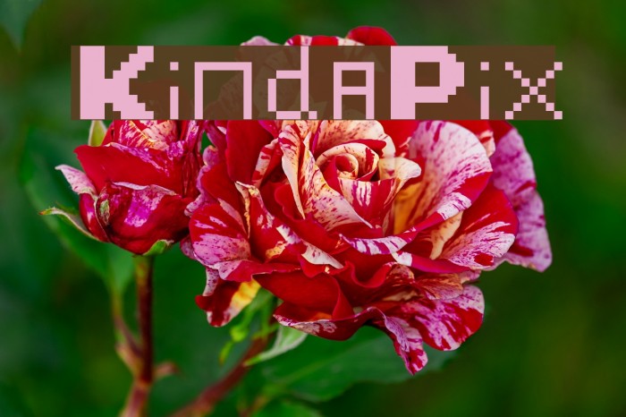 KindaPix Font examples