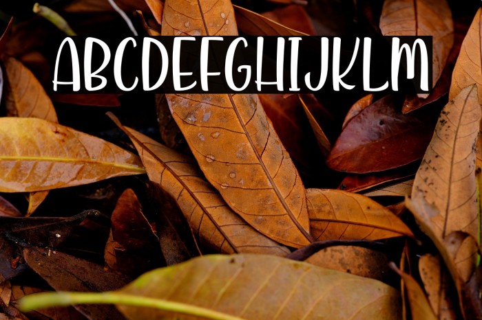 KindandRichPersonalUse Example 1