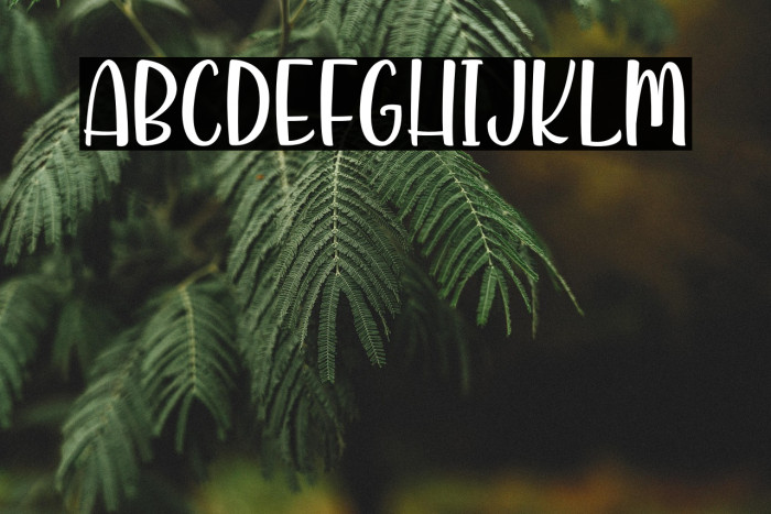 KindandRichPersonalUse Example 2