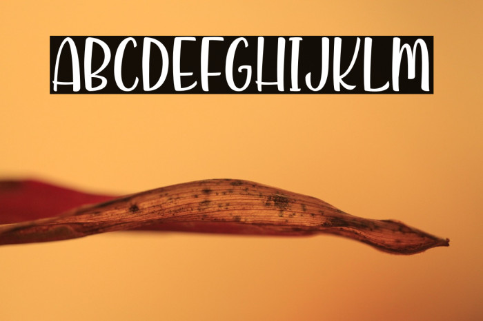 KindandRichPersonalUse Example 3