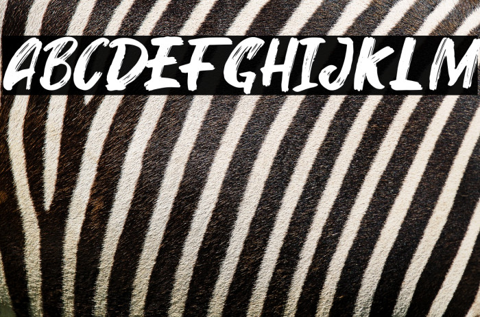 Kinder Boy Italic Example 1