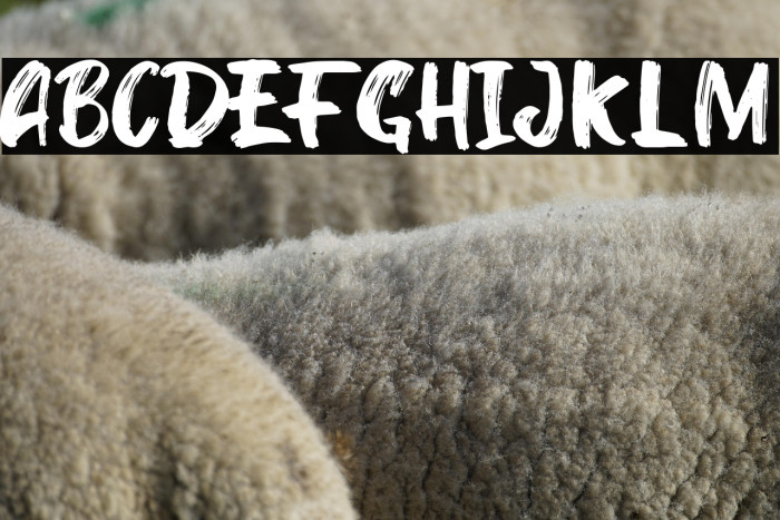 Kinder Boy Regular Example 1