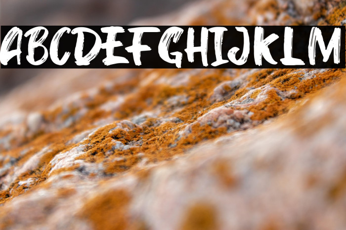 Kinder Boy Regular Example 2