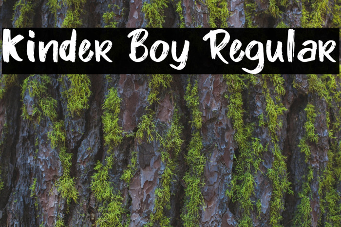 Kinder Boy Regular Font examples