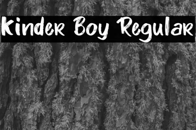 Kinder Boy Regular Fonte examples