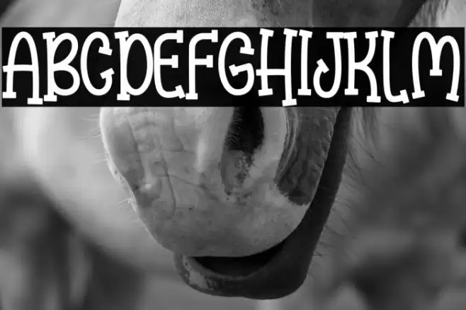 Kinder Flower Шрифта examples