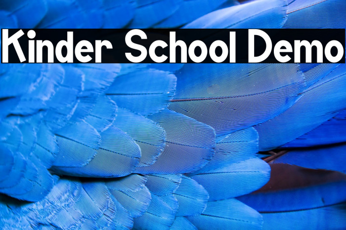 Kinder School Demo Example 1