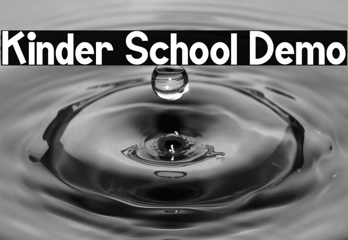 Kinder School Demo Example 2