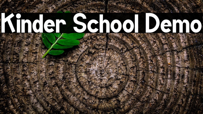 Kinder School Demo Example 3