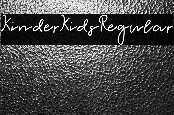 KinderKids-Regular Example 2