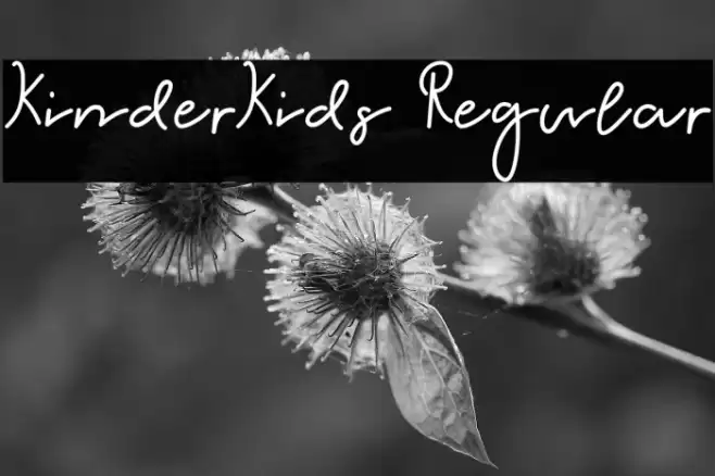 KinderKids Regular Font examples