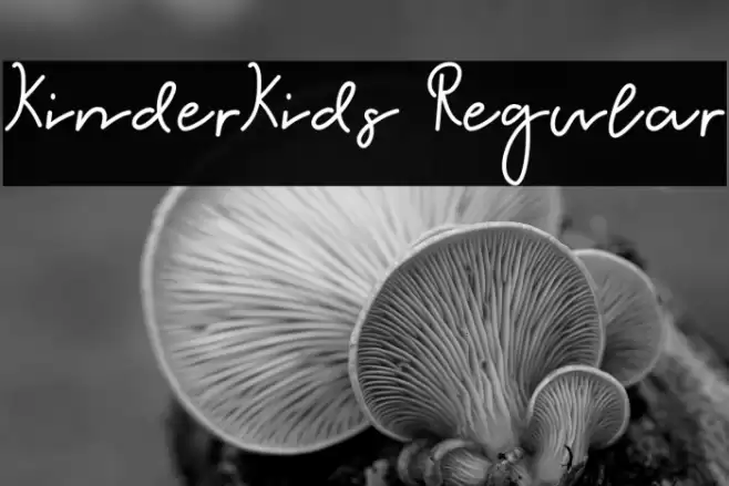 KinderKids Regular Font examples