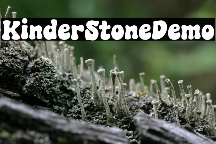 KinderStoneDemo Example 1