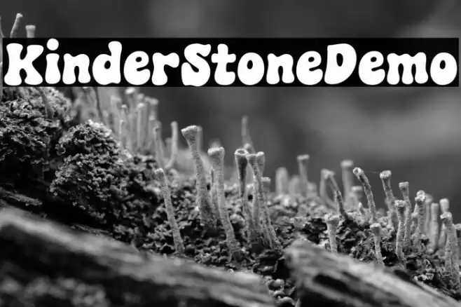 KinderStoneDemo 字体 examples
