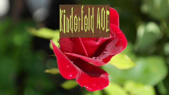 Kinderfeld AOE Fonte examples