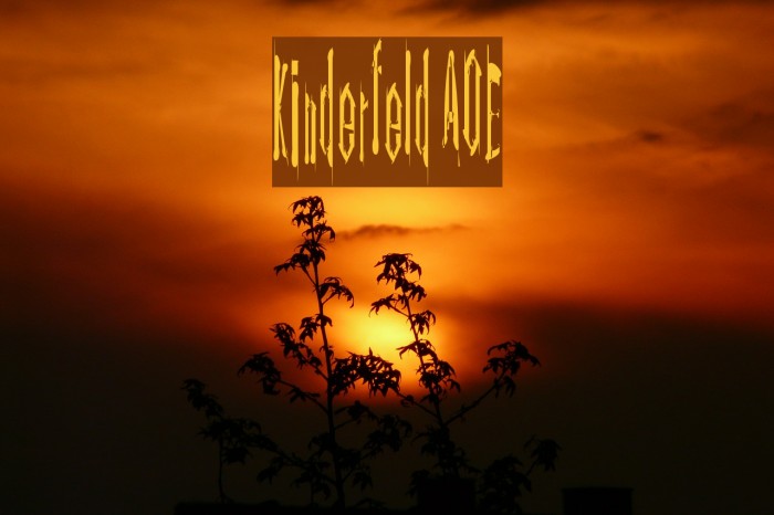 Kinderfeld AOE Fonte examples