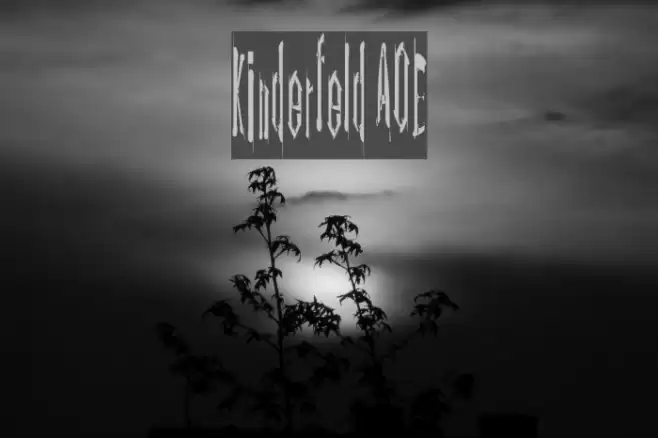 Kinderfeld AOE Font examples