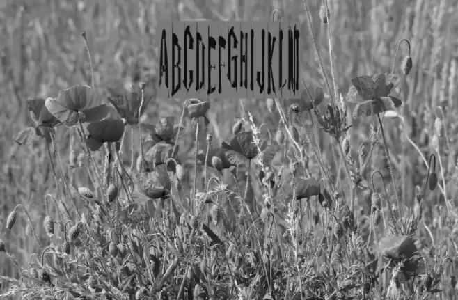 Kinderfeld Font examples