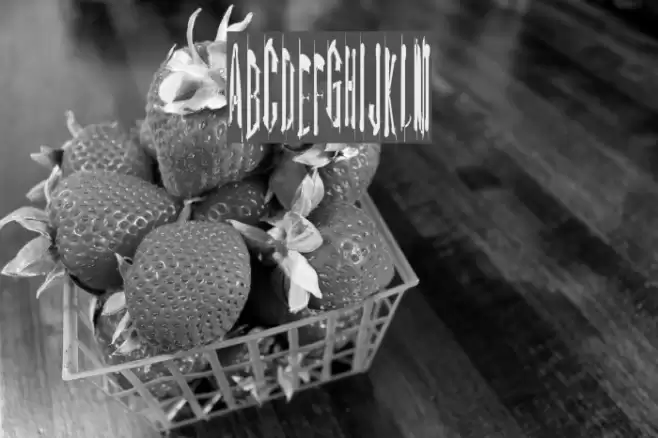 Kinderfeld Font examples