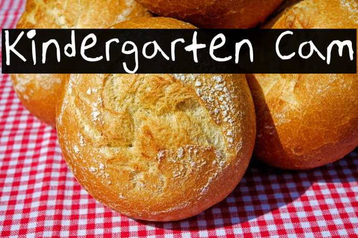 Kindergarten Cam Example 3