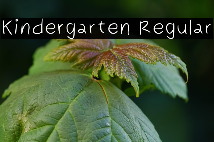 Kindergarten Regular Example 1