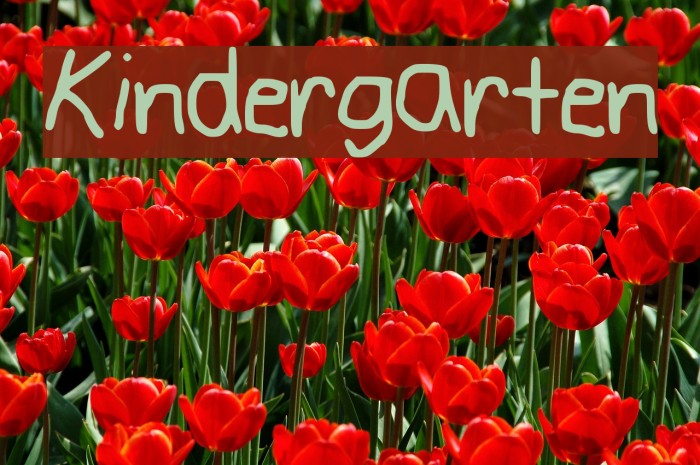 Kindergarten Example 3