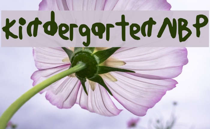 KindergartenNBP Example 1