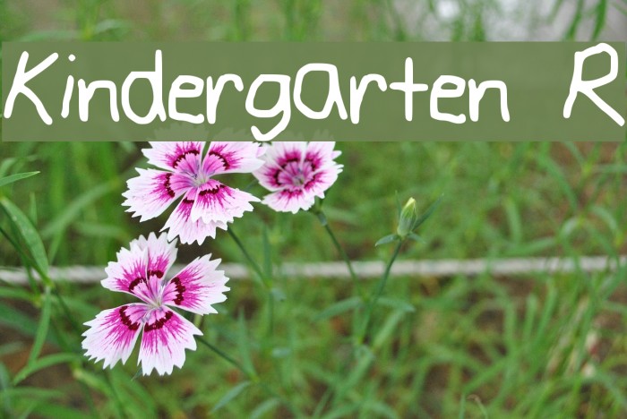 Kindergarten R Schriftart examples
