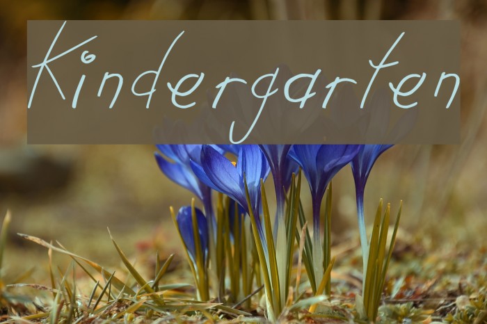 Kindergarten Example 1