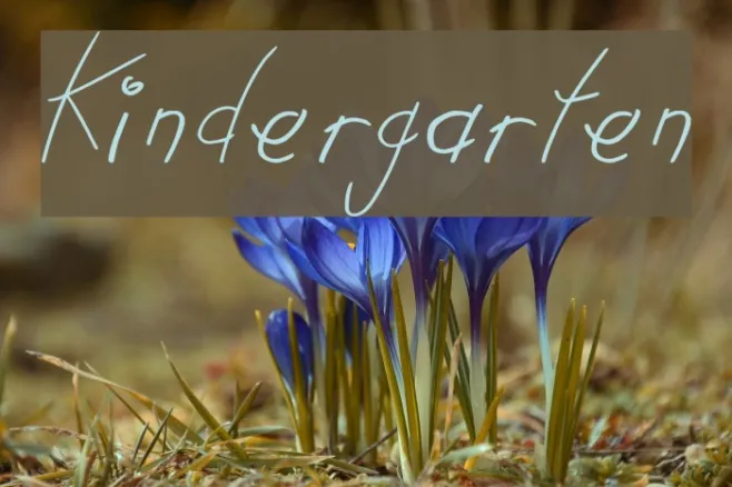 Kindergarten Example 3