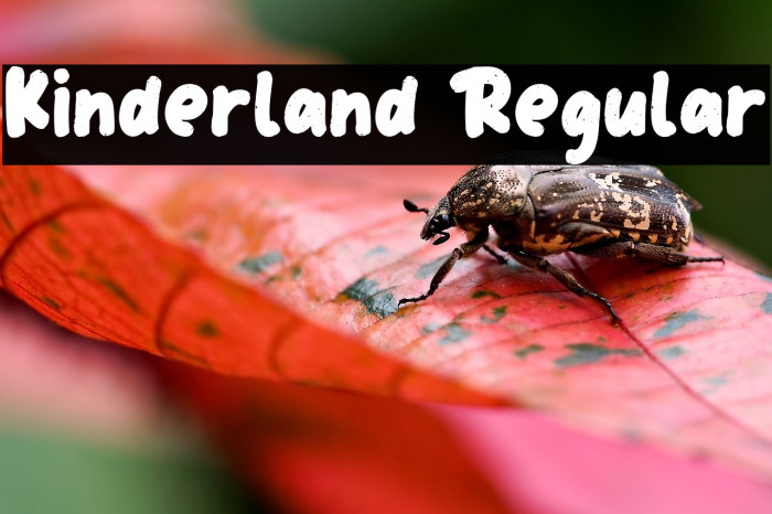 Kinderland Regular Example 3