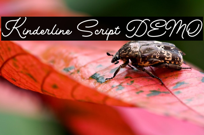 Kinderline Script DEMO Example 2