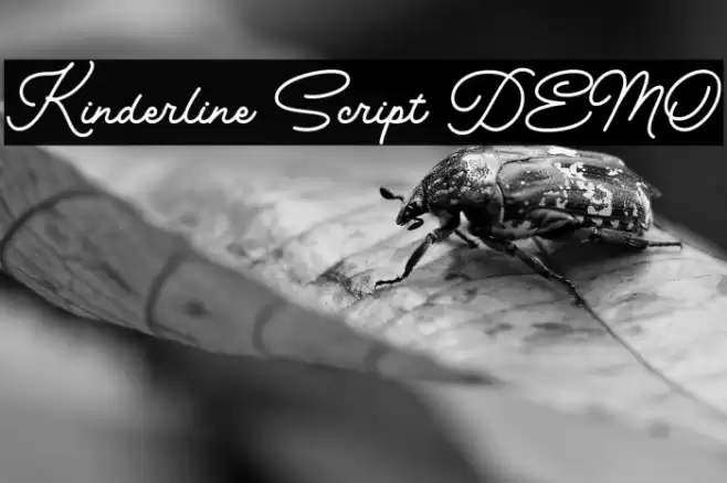 Kinderline Script DEMO Font examples