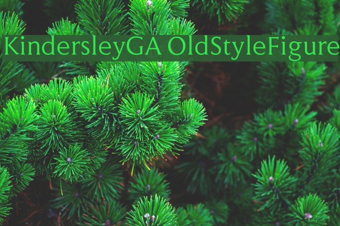KindersleyGA OldStyleFigure フォント examples