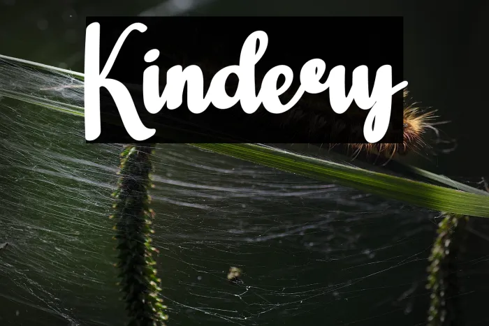 Kindery Example 1