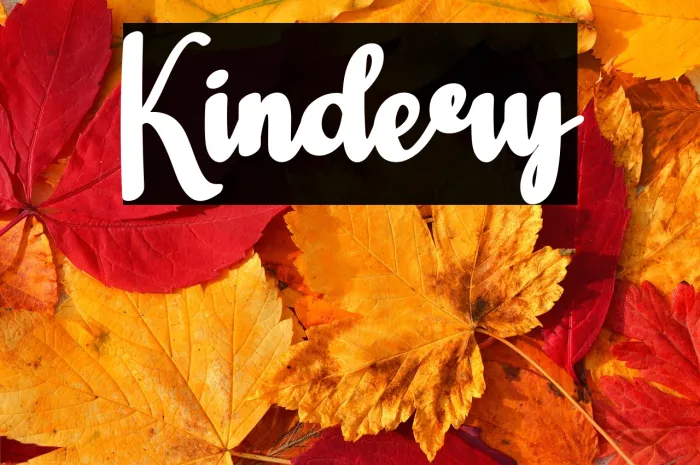 Kindery Example 2