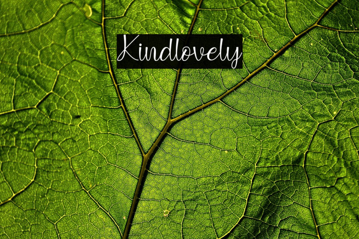 Kindlovely Example 1