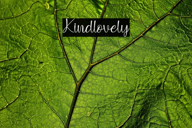 Kindlovely Example 1