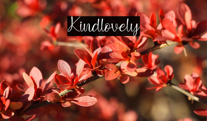 Kindlovely Example 2