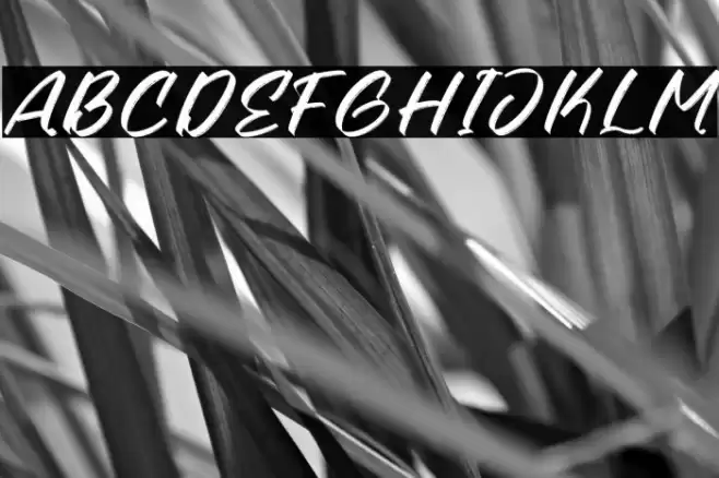 Kindmight Polices examples