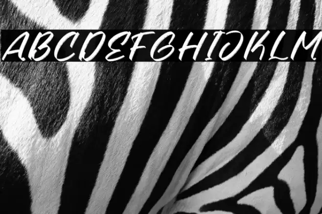 Kindmight Polices examples