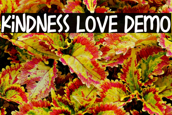 Kindness Love Demo Example 3